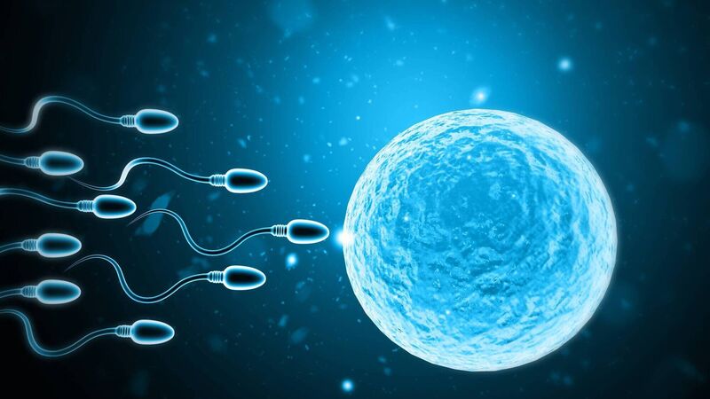 Fertility Centre in Junagadh	best ivf center in junagadh	ICSI treatment in Junagadh