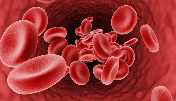 Thalassemia awareness, prenatal screening, fetal medicine, thalassemia major prevention, genetic testing during pregnancy, Unique Hospital Junagadh, best IVF center in Junagadh, fetal health checkup, thalassemia minor couple, pregnancy genetic disorders, IVF success Junagadh, advanced fetal medicine services, early detection of thalassemia, healthy pregnancy tips, reproductive health Junagadh, thalassemia screening Junagadh, prenatal genetic counseling, fetal anomaly scan Junagadh, IVF and fetal medicine, thalassemia carrier testing