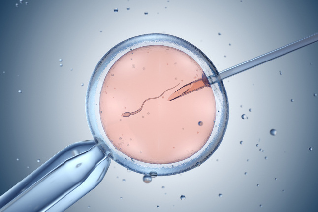 best IVF center in Junagadh, Unique IVF Junagadh, ICSI treatment Junagadh, IVF hospital Junagadh, fertility center in Junagadh, IVF success stories Junagadh, male infertility treatment Junagadh, parenthood after 35, late pregnancy IVF Junagadh, fertility treatment Gujarat, ICSI success rate Junagadh, advanced IVF treatments, emotional IVF support, IVF for older couples, affordable IVF Junagadh, experienced fertility doctors Junagadh