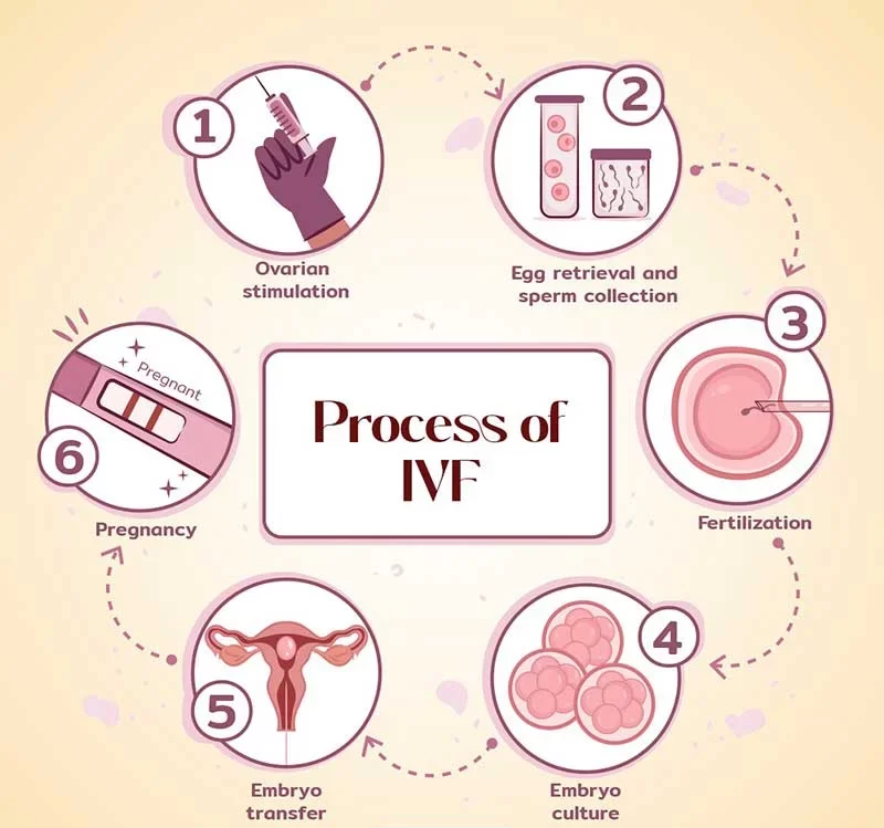 best IVF center in Junagadh, Fertility Centre in Junagadh, Unique IVF Hospital Junagadh, IVF treatment Junagadh, ICSI treatment in Junagadh, IVF process Junagadh, embryo transfer Junagadh, IVF pregnancy care Junagadh, infertility treatment Junagadh, reproductive medicine Junagadh, ovarian stimulation Junagadh, egg retrieval Junagadh, embryo culture Junagadh, IVF consultation Junagadh, IVF success rates Junagadh