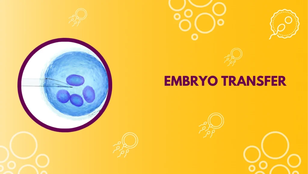 Unique IVF Hospital Junagadh, best IVF center in Junagadh, post-embryo transfer care, IVF care tips Junagadh, ICSI treatment in Junagadh, fertility guidance Junagadh, embryo transfer aftercare, IVF success tips, fertility counselling Junagadh, reproductive health Junagadh, IVF support Junagadh, personalized fertility treatment, Junagadh IVF clinic, embryo implantation care, IVF lifestyle tips