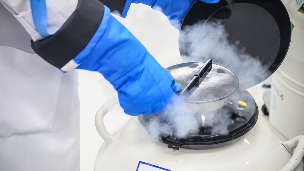 Fertility Centre in Junagadh, best IVF center in Junagadh, sperm freezing in Junagadh, egg freezing in Junagadh, fertility preservation in Junagadh, ICSI treatment in Junagadh, IVF treatment in Junagadh, embryo freezing in Junagadh, reproductive health in Junagadh, delayed childbearing fertility solutions Junagadh, chemotherapy fertility preservation Junagadh, genetic condition fertility preservation Junagadh, infertility treatment in Junagadh, advanced fertility treatments Junagadh, vitrification egg freezing Junagadh, semen freezing Junagadh, Unique IVF Hospital Junagadh, fertility specialists in Junagadh, embryologists in Junagadh, parenthood planning Junagadh