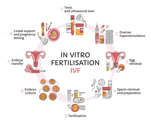 IVF treatment Junagadh, ICSI treatment Junagadh, best IVF center Junagadh, fertility centre Junagadh, infertility solutions, assisted reproductive technology, male infertility treatment, female infertility treatment, egg retrieval Junagadh, embryo transfer Junagadh