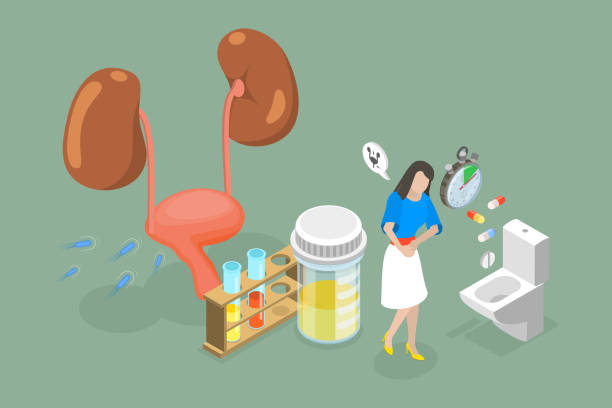 urine infection during pregnancy Junagadh, pregnancy urinary infection Junagadh, UTI in pregnancy Junagadh, maternal health Junagadh, Unique IVF Hospital, best IVF center Junagadh, ICSI treatment Junagadh, fertility centre in Junagadh, prenatal care Junagadh, pregnancy health tips