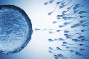 Advanced women’s health Junagadh, Fertility Centre in Junagadh, best IVF center in Junagadh, ICSI treatment in Junagadh, IVF services Junagadh, women’s wellness center Junagadh, fertility treatment Junagadh, gynecology services Junagadh, PCOS treatment Junagadh, infertility solutions Junagadh, reproductive health Junagadh, comprehensive IVF care Junagadh, hormonal health Junagadh, pregnancy care Junagadh, integrated fertility and women’s health Junagadh