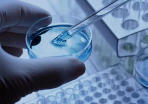Unique IVF Center Junagadh, Fertility Centre in Junagadh, best IVF center in Junagadh, ICSI treatment in Junagadh, IVF treatment Junagadh, fertility specialist Junagadh, infertility treatment Junagadh, parenthood journey Junagadh, advanced fertility care Junagadh, male infertility treatment Junagadh, female infertility solutions Junagadh, IVF success in Junagadh, ICSI fertility solutions, trusted fertility clinic Junagadh, fertility care for couples Junagadh